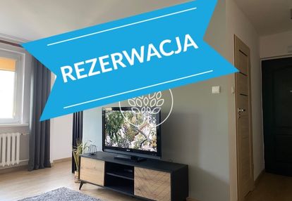 Przytulna kawalerka blisko umk od października