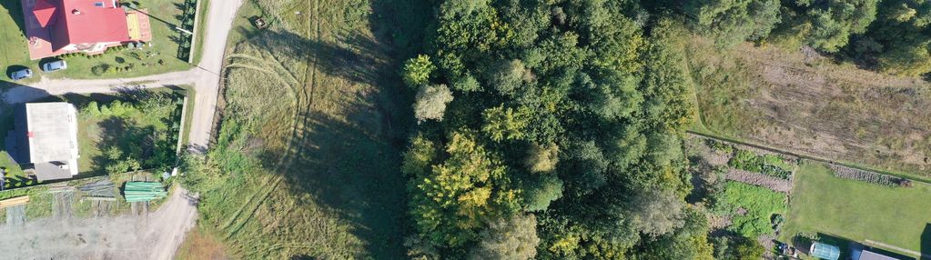Zainwestuj w naturę- 5400m2 ziemi z własnym lasem - siemnocha zaprasza