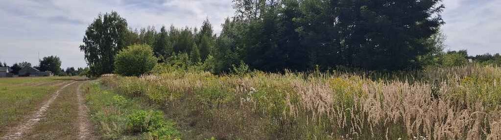 Działki również dla dewelopera