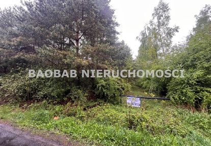 Grabce towarzystwo 1,8 ha przy suntago z wz