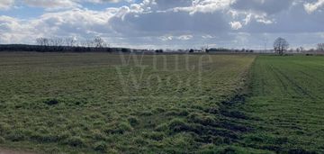 Deszczno k. gorzowa - działki z gotową koncepcją w