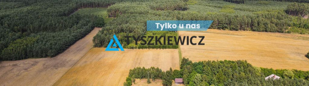 Działka w sercu lasu - cisza i spokój