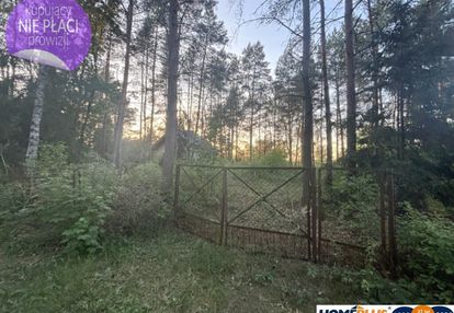 Działka budowlana w lesie blisko rzeki