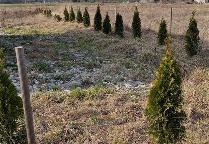 Domek na działce 1000m z mediami