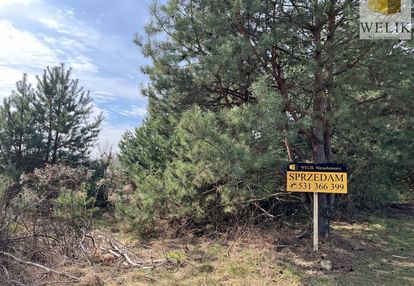 Działa budowlana w styrzyńcu