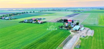 Działki budowlane nieopodal żnina