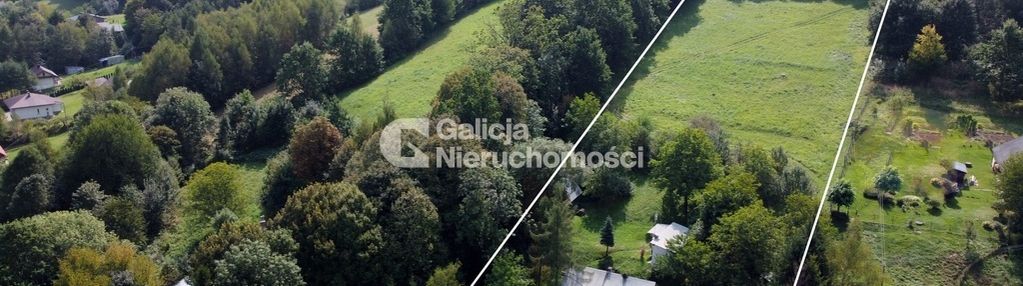 Siedlisko z domem na 1,53ha działce