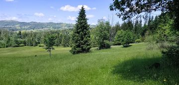 Działka budowlana laliki 1519 m² widokowa