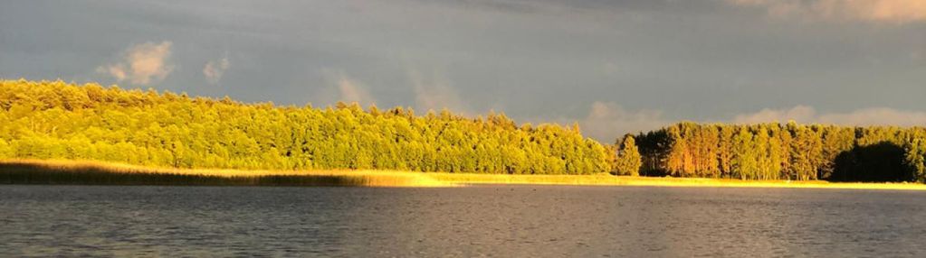Działka/rekreacyjna/ mazury
