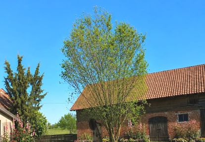 Piękna działka 30 ha | wz | mazury 30 minut od lot
