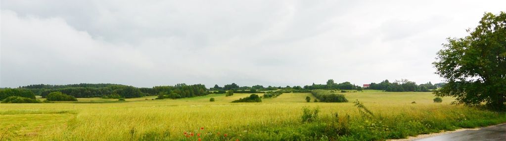 Działka 6600 m2, drugnia, gm. pierzchnica