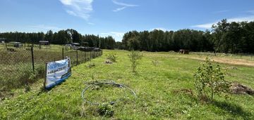 Środek lasu, działka 5 arów,ostoja baryczy, natura