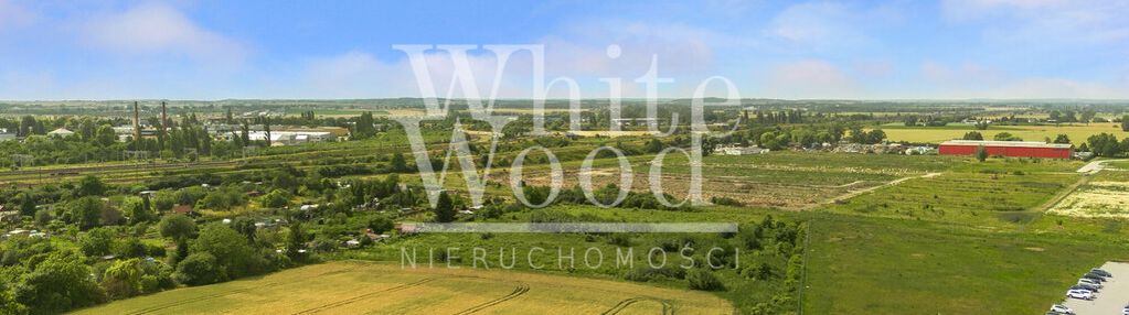 Strefa ekonomiczna: usługi, produkcja, przemysł