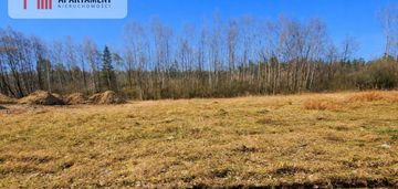 Nad jeziorem, przy lesie.