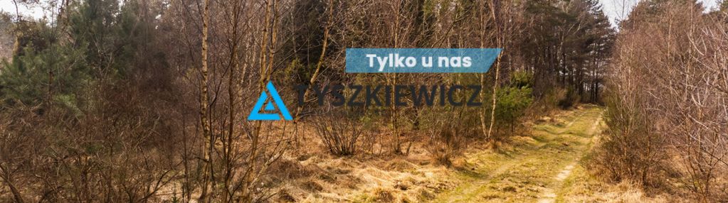 Działka leśna