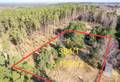 Domek nad morzem | las | sasino | 3 156m2 działka