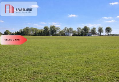 Przestronne działki na sprzedaż, blisko torunia