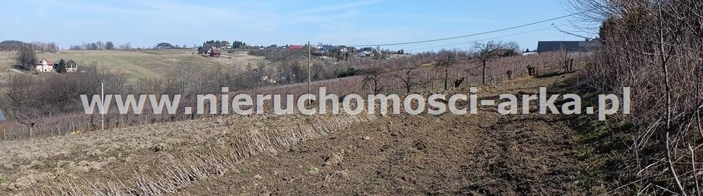 Duża ksztatna działka rolna w sąsiedztwie domów