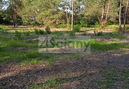 Działka leśna pod zabudowę rezydencyjną