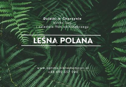 Działka z widokiem na las, obok vilpark