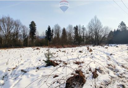 Działka 8a otulona zielenią – jeleśnia czeka!