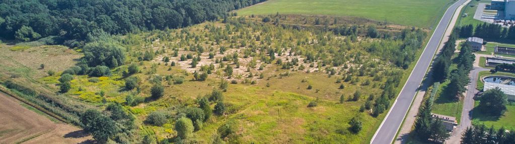 Okazyjna cena,działka inwestycyjna, żarowska wsse