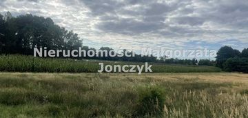 Działka przyrownica