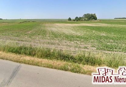 1937 m2 na obrzeżach brześcia kuj.