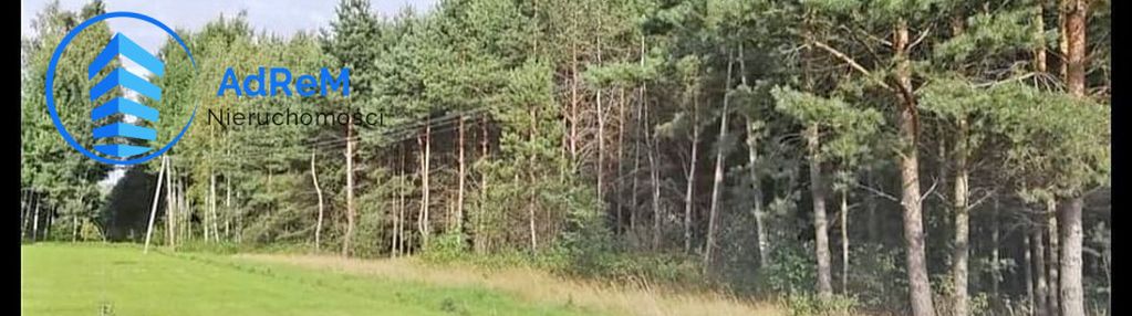 Działka leśna 4 ha m. parczowce