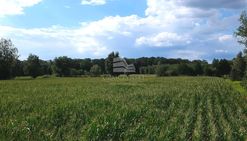 Grędzina, dojazd asfaltowy, prąd, woda, telekom.