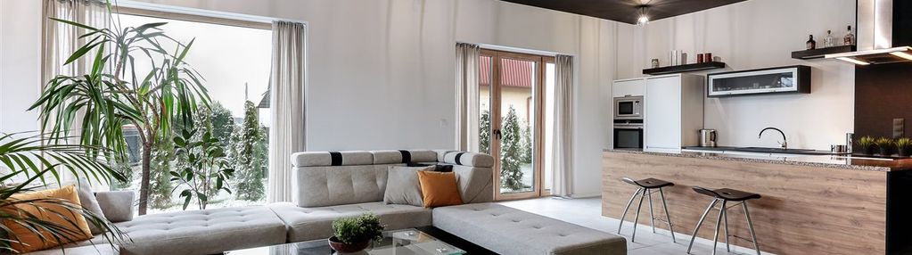 Dwa domy w cenie jednego - czechowice-dziedzice