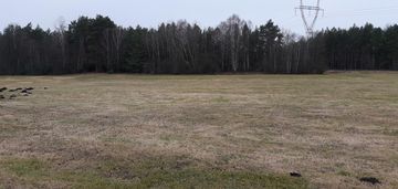 Łąka dobrej klasy 0,8 ha rudka-skroda gm. mały płock z linią brzegową