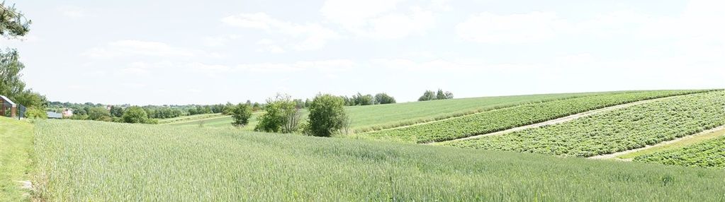 Działka z pozwoleniem na budowę w cianowicach