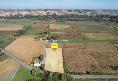 Książnice wielkie gmina koszyce