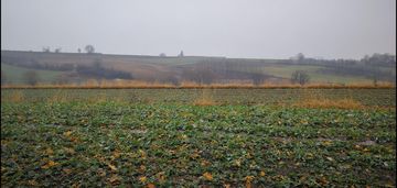 Działka budowlano-rolna, piękna i spokojna okolica