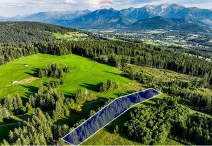 Działki rolne - sprzedaż dzianisz (składziska)