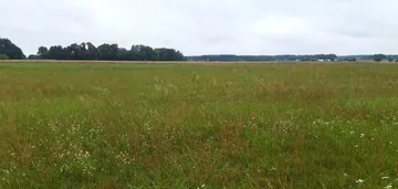 Działka na sprzedaż 3001m2