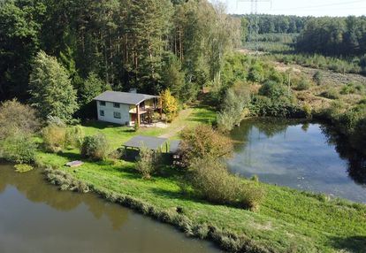Posiadłość przegędza - staw, las