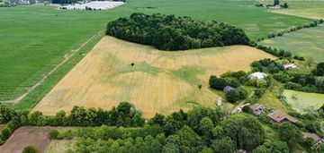 Siedlisko nad stawem! pow. gruntów 5,95 ha, dom!