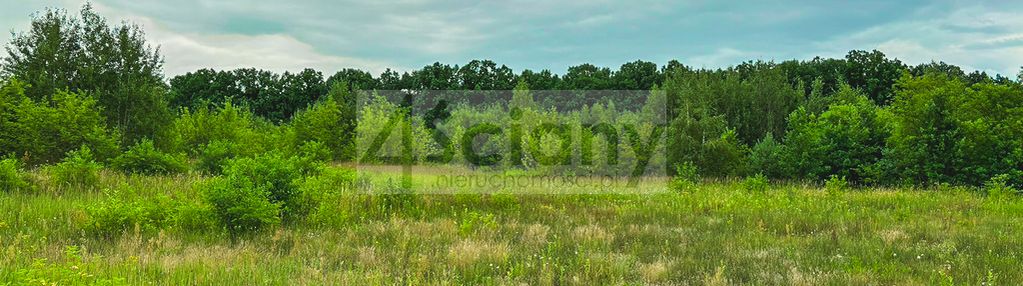 Atrakcyjna działka budowlana w runowie 1150 m²