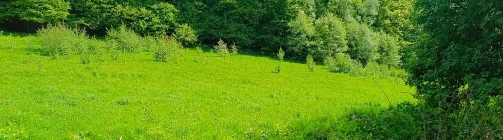 Działka przy lesie, atrakcyjna lokalizacja