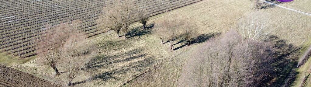 Piękna działka w wildze, okolicy cichej i zielonej