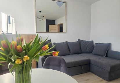 Na wynajem 2 pokoje ul.polna, jeżyce