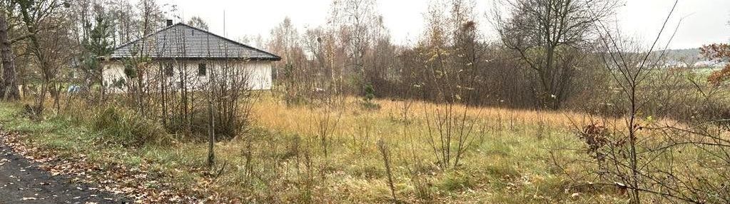 Silno 10 km od torunia, działki uzbrojone