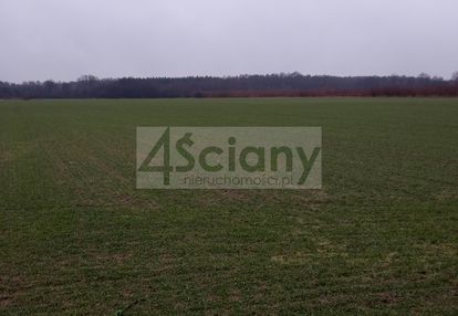 Działka rekreacyjna nad wisłą