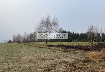 Dobrzewino - kompleks działek