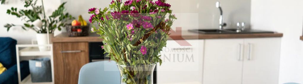 Światło, spokój i przestrzeń - rondo wiatraczna