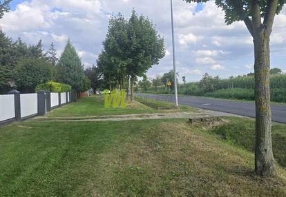 Działka budowlana, z trawnikiem i drzewami