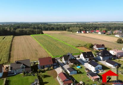 Błotnica strzelecka, duży areał, potencjał inwest.