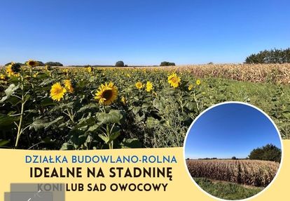 Na sprzedaż działka budowlano-rolna w kowalowicach